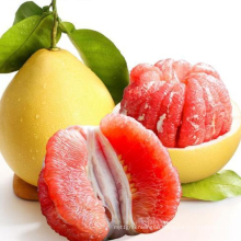 Hot Selling Competitive Price Fruit Honey Red Pomelo